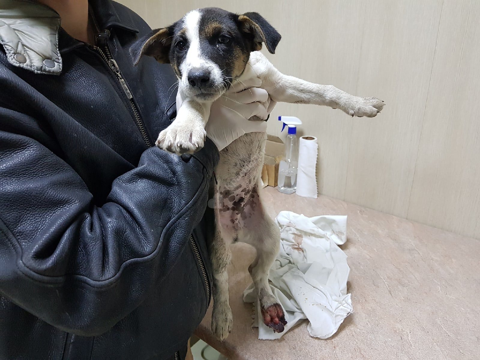 Баклажанчик