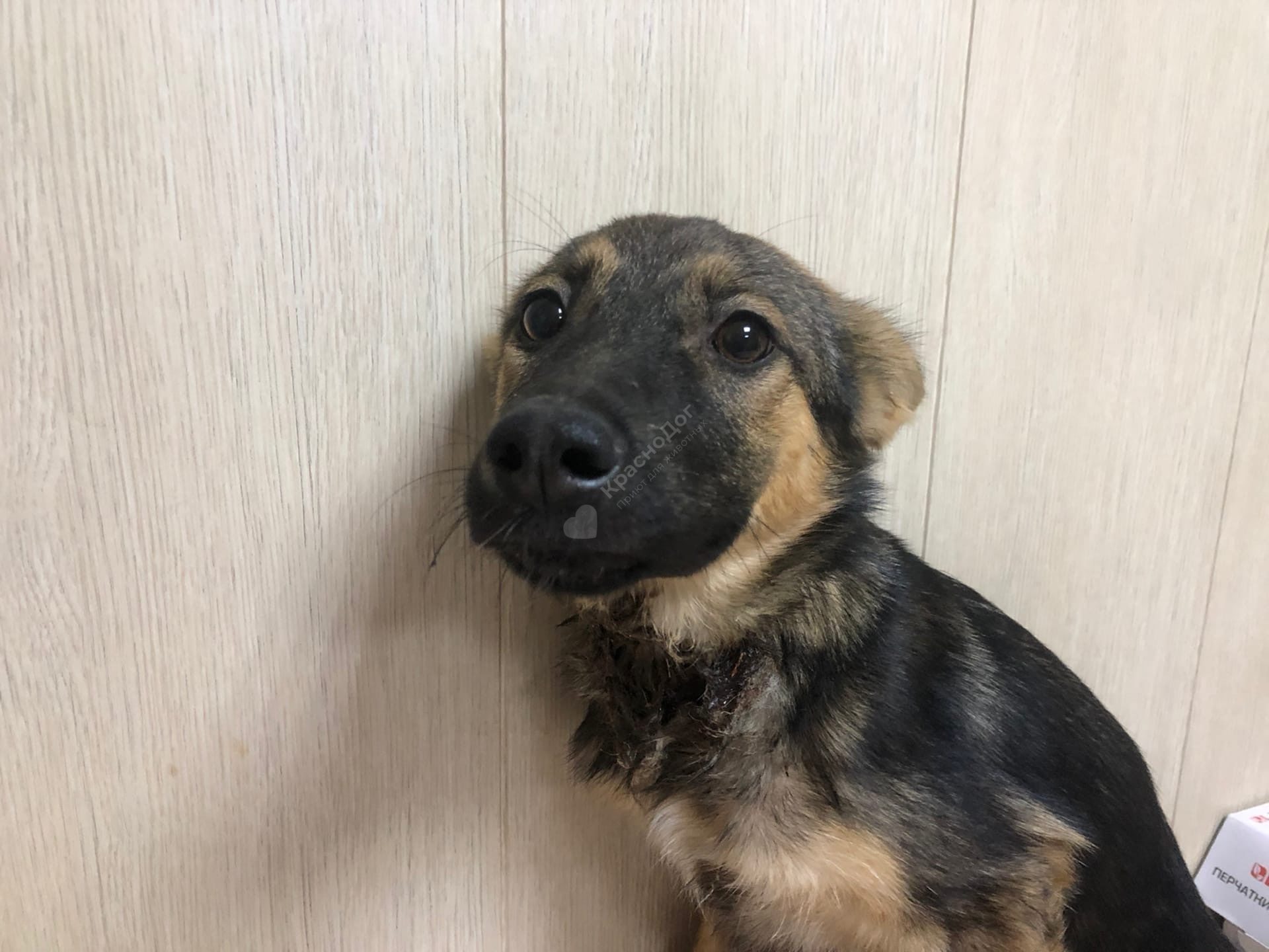 Астрономия