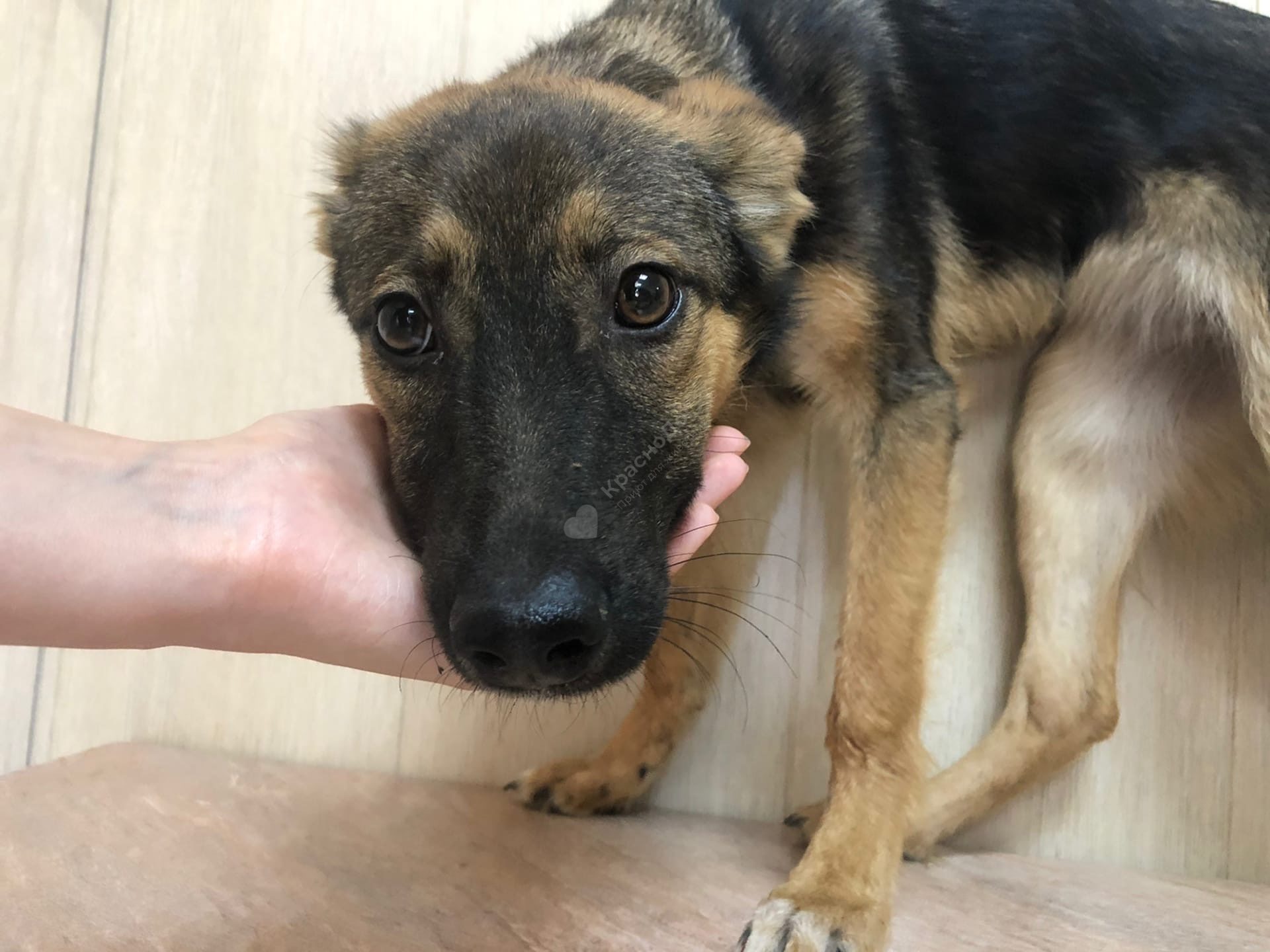 Астрономия