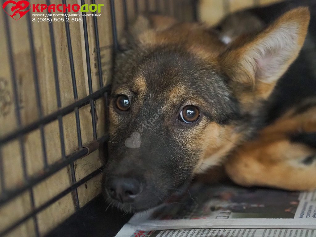 Астрономия