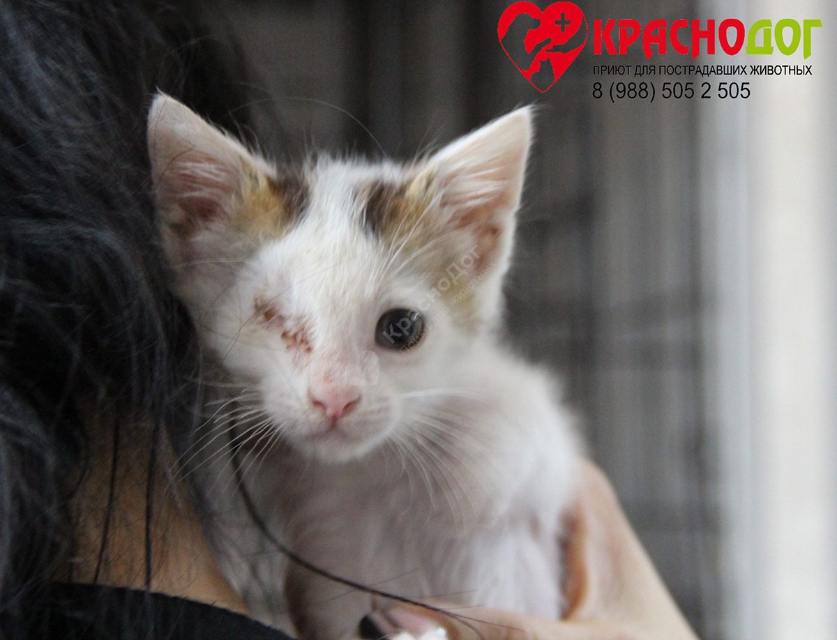 Одноглазый Джек