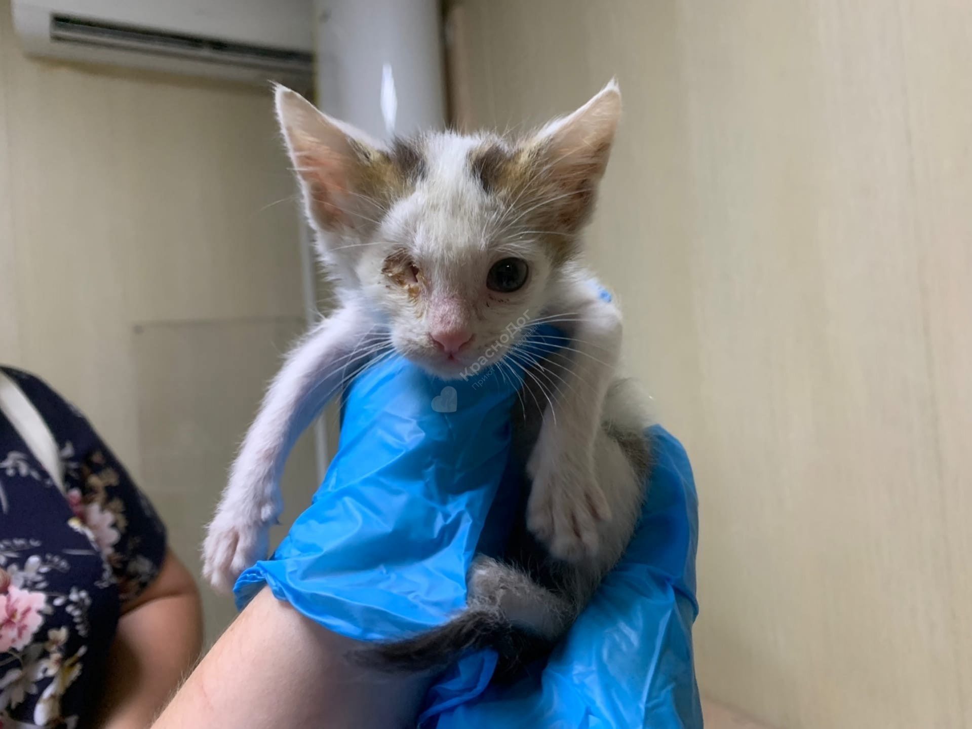 Одноглазый Джек