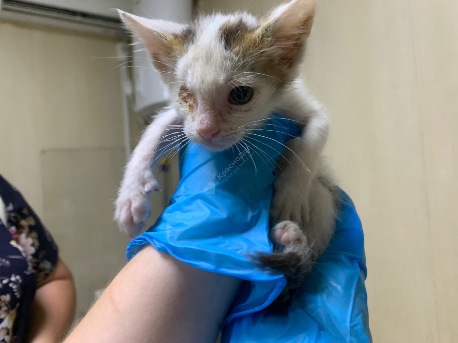 Одноглазый Джек